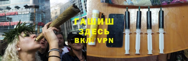 дживик Няндома
