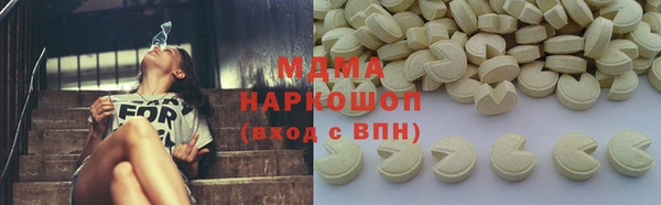 дживик Няндома