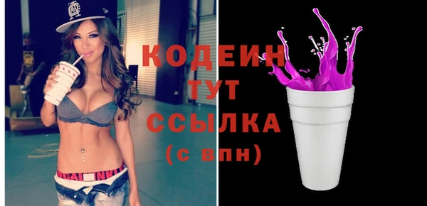 дживик Няндома