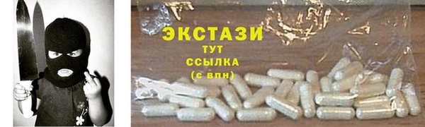 дживик Няндома