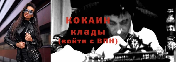 дживик Няндома