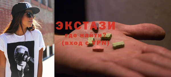 дживик Няндома