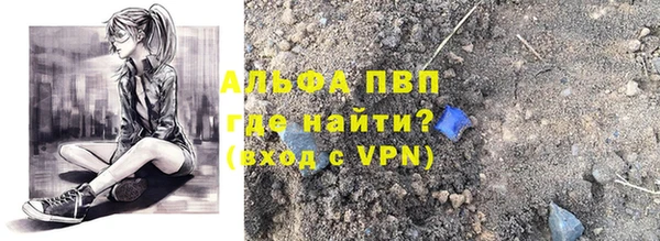 дживик Няндома