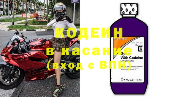 дживик Няндома