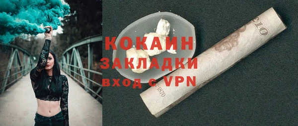 дживик Няндома
