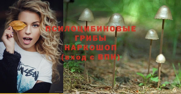 дживик Няндома
