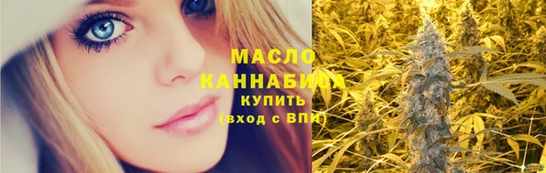 дживик Няндома