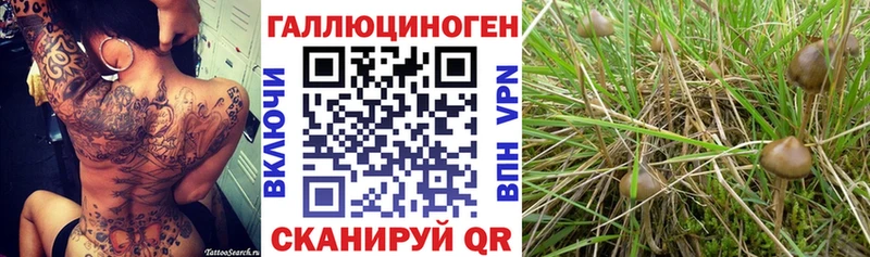 Галлюциногенные грибы ЛСД закладки Волжский
