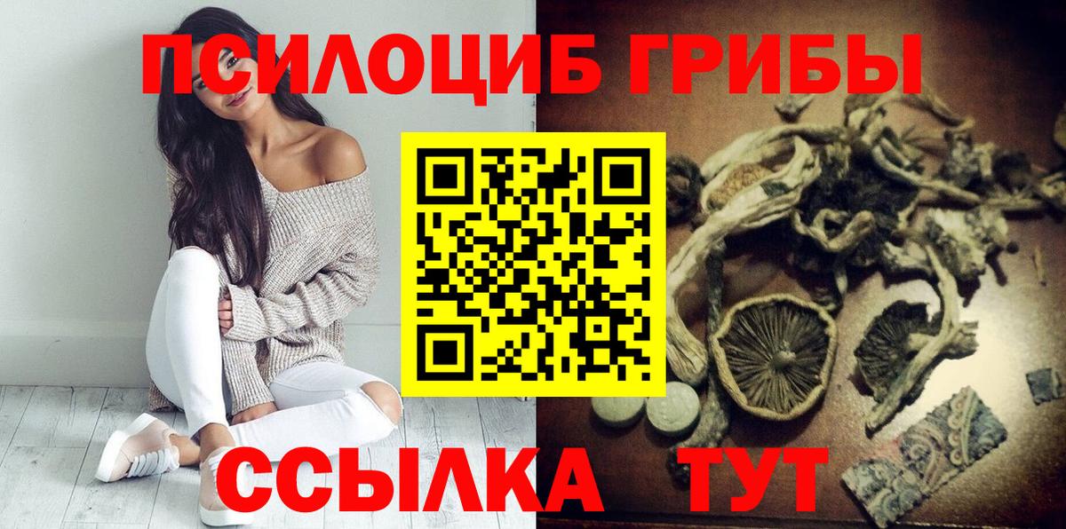 Галлюциногенные грибы Cubensis Волжский