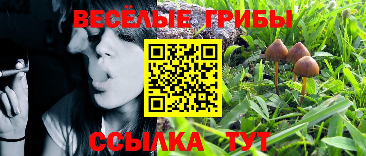 Псилоцибиновые грибы Magic Shrooms  продажа наркотиков  Псилоцибиновые грибы Cubensis  Волжский 