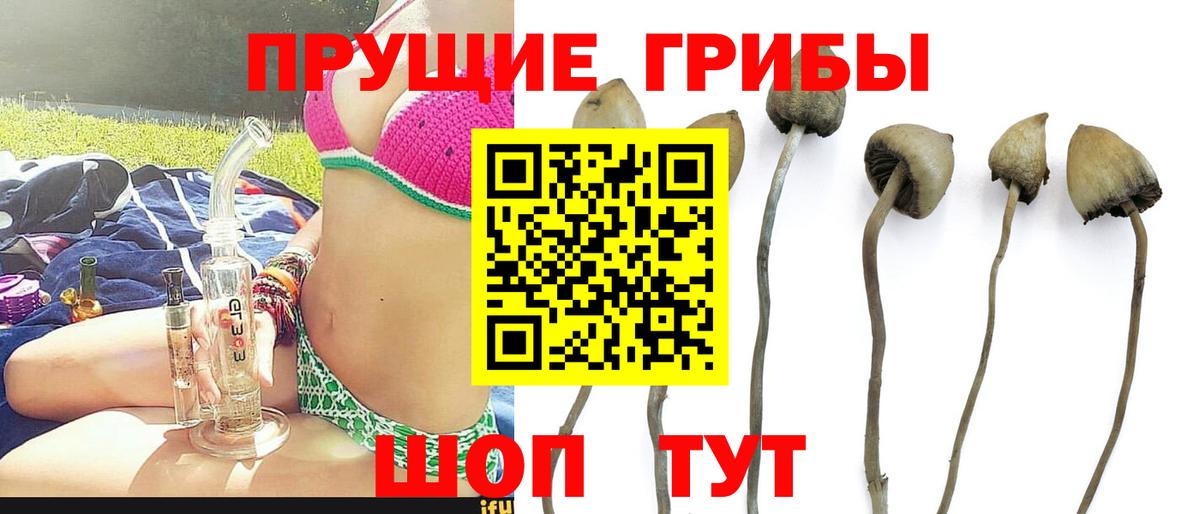 Галлюциногенные грибы мухоморы  Вход с VPN  Волжский 