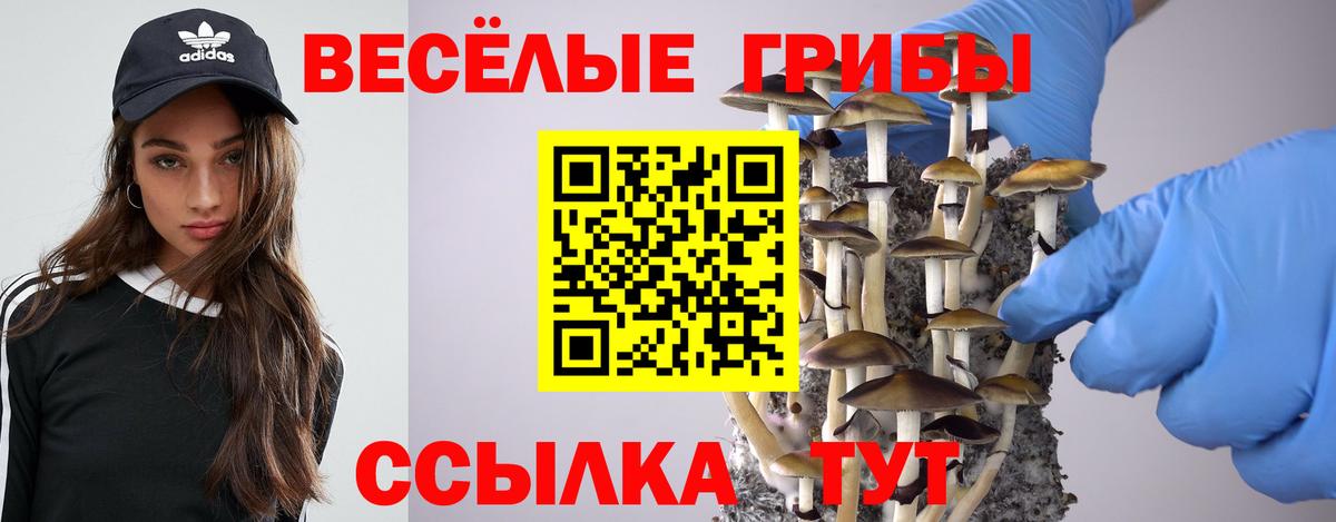 Галлюциногенные грибы Cubensis Волжский